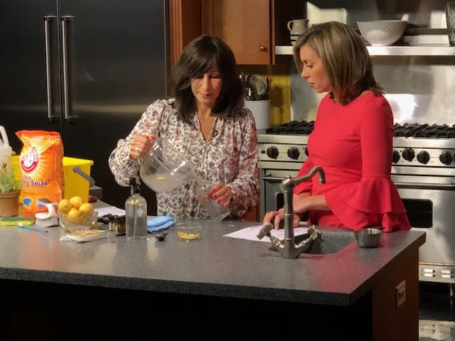 Luisa Szakacs demonstrating holiday cleaning tips on television